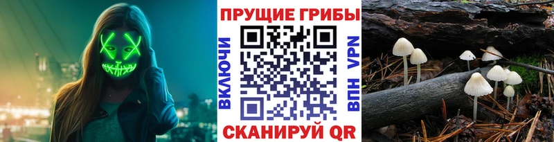мега онион  Абаза  Псилоцибиновые грибы мухоморы 
